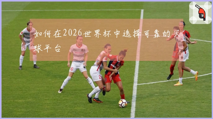 如何在2026世界杯中选择可靠的买球平台