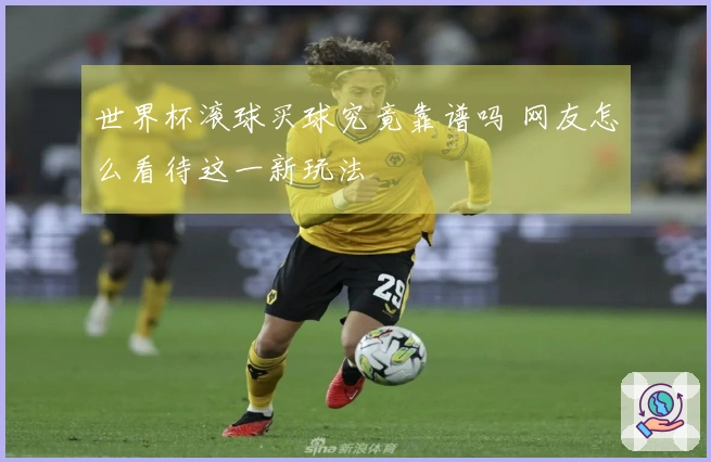 世界杯滚球买球究竟靠谱吗 网友怎么看待这一新玩法