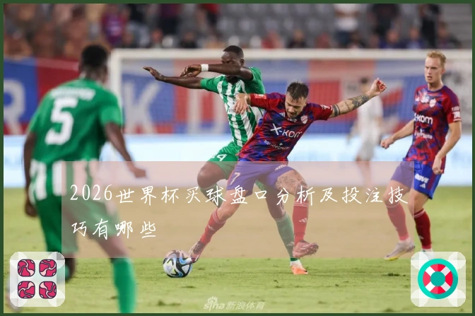 2026世界杯买球盘口分析及投注技巧有哪些