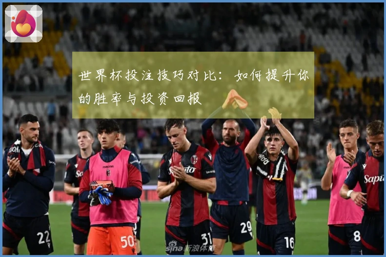 世界杯投注技巧对比：如何提升你的胜率与投资回报