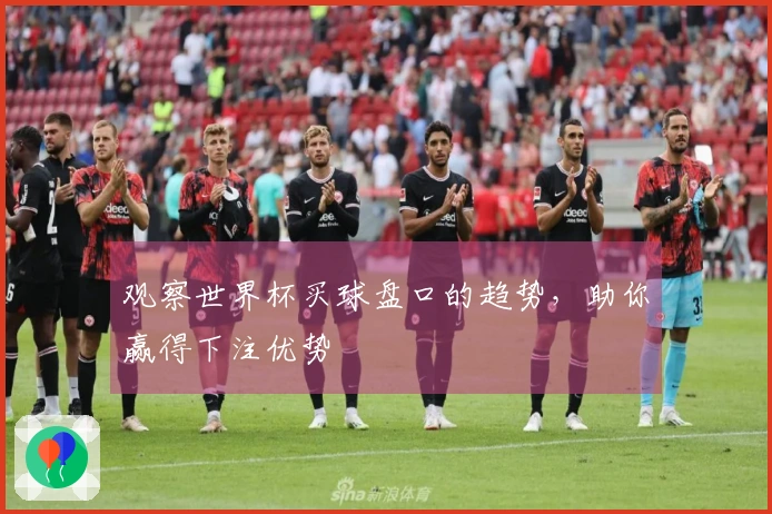 观察世界杯买球盘口的趋势，助你赢得下注优势