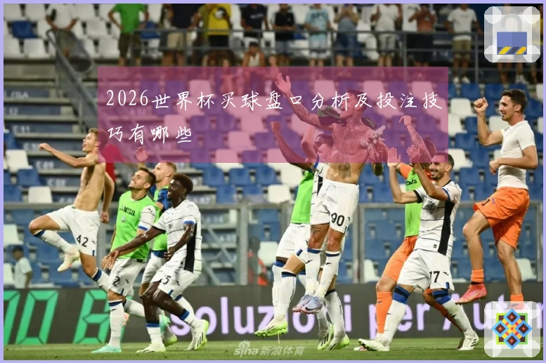 2026世界杯买球盘口分析及投注技巧有哪些