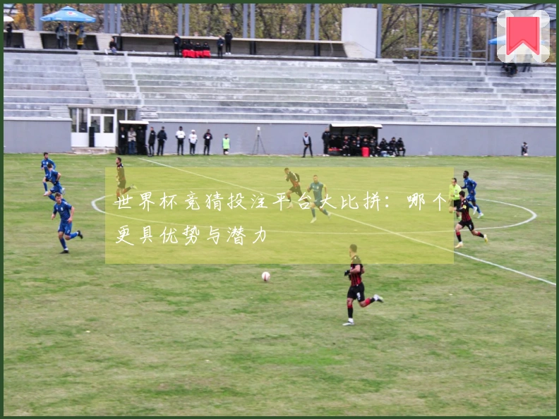 世界杯竞猜投注平台大比拼：哪个更具优势与潜力
