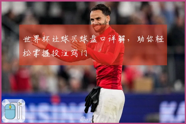 世界杯让球买球盘口详解，助你轻松掌握投注窍门
