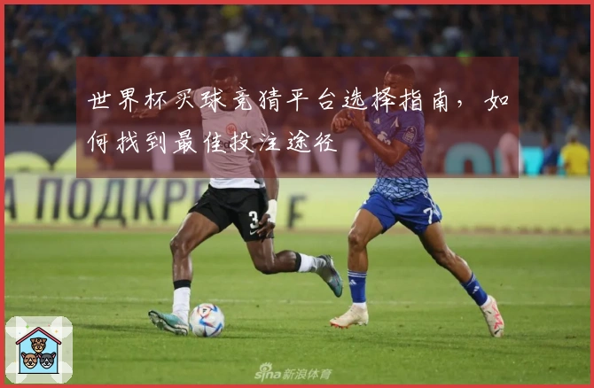 世界杯买球竞猜平台选择指南，如何找到最佳投注途径