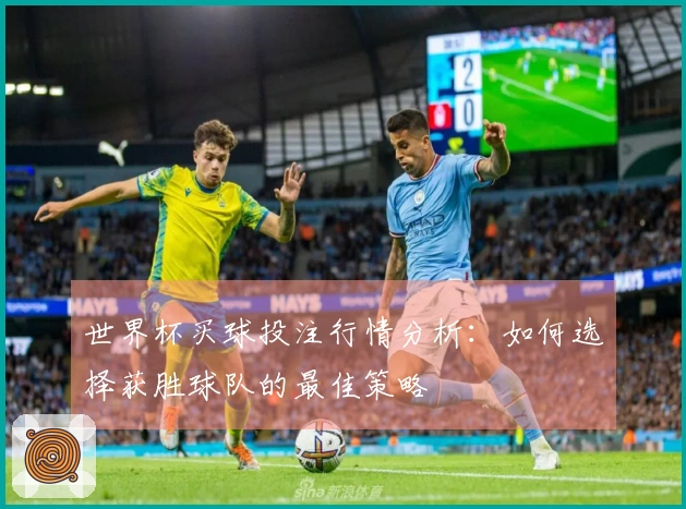 世界杯买球投注行情分析：如何选择获胜球队的最佳策略