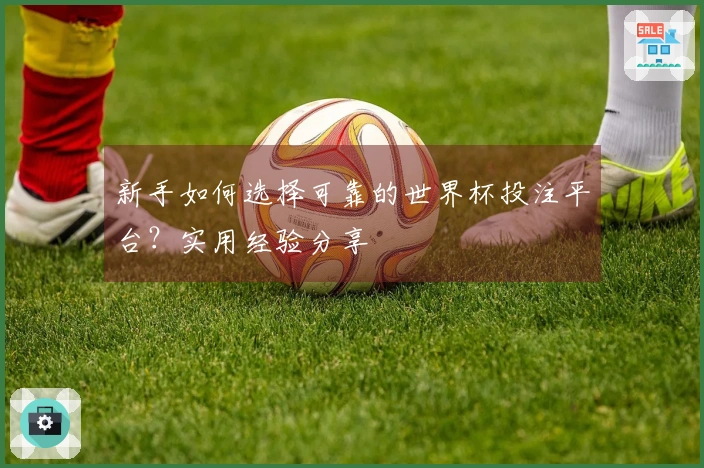 新手如何选择可靠的世界杯投注平台？实用经验分享