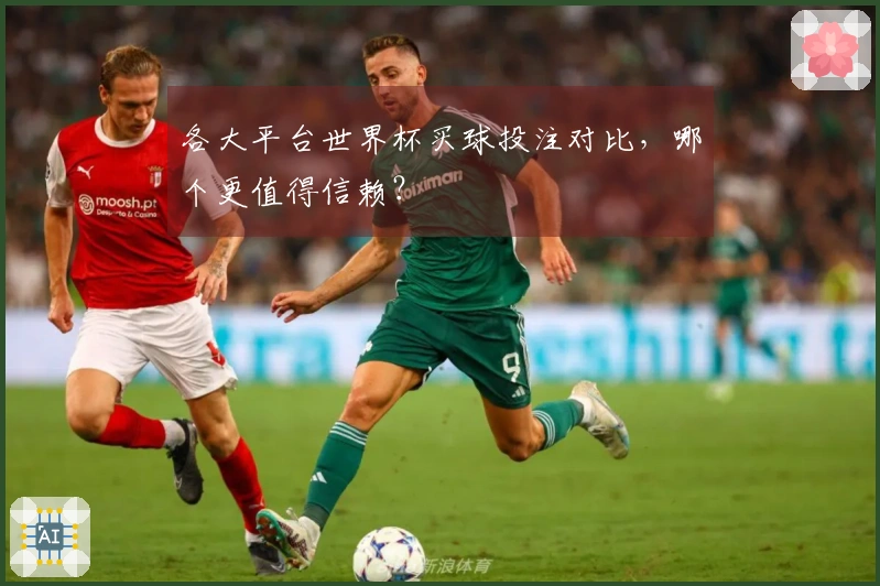 各大平台世界杯买球投注对比，哪个更值得信赖？